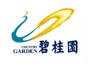 港闸碧桂园地产